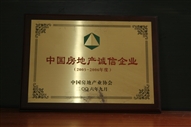 B1、中國房地產誠信企業(yè)2005—2006年
